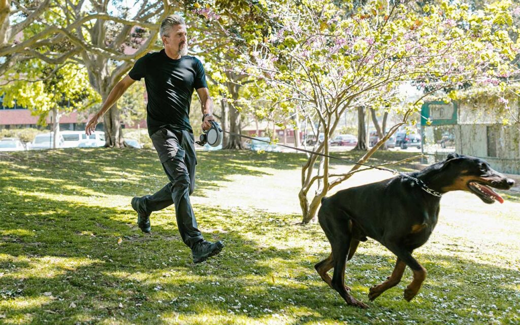 How owning a pet improves mental health and wellbeing
