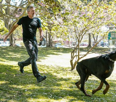 How owning a pet improves mental health and wellbeing